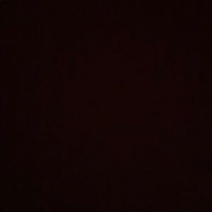 Meet your Posher, Ava